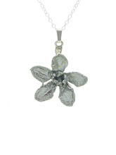 Royal Orchid Collection